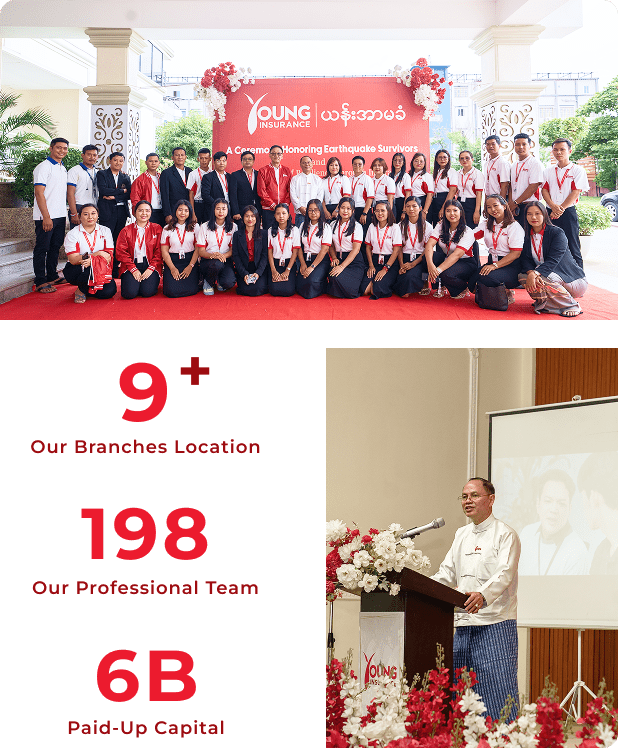 Group 149 Young Insurance